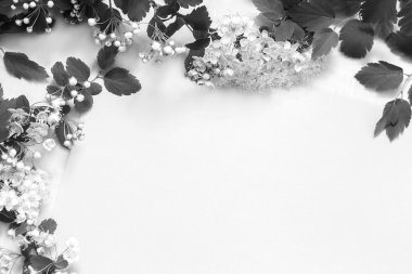 bir arka plan güzel çiçek dallarda dokulu kağıt ve koyu kumaş