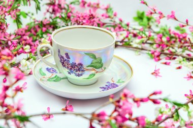 Bir boş çay bardağı ve beyaz zemin üzerine bazı çiçek bahar süslemeleri ile bir fincan tabağı