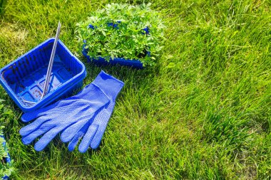 Bahçecilik aletleri ve fide kutularında yeşil çimenlerin üzerinde