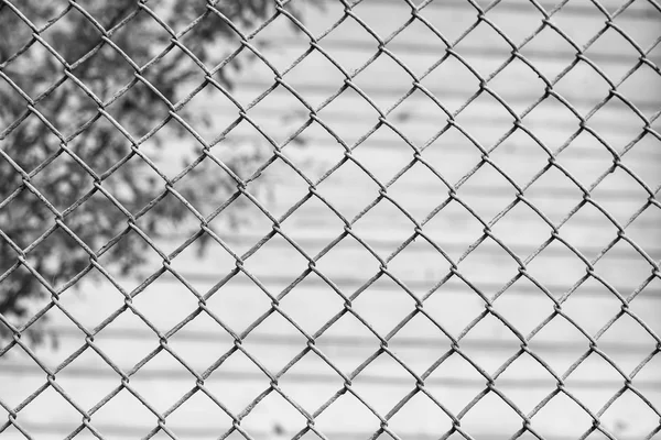 Construction grid on the blurred background. Lattice fence — Stock Photo, Image
