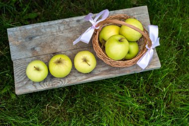 Elma bir sepet ve yeşil çim arka plan ve bitki örtüsü üzerinde bazı Bahçe süsleri. Yeşillik ve otlar arka plan ile mor çiçekli Bahçe kova.