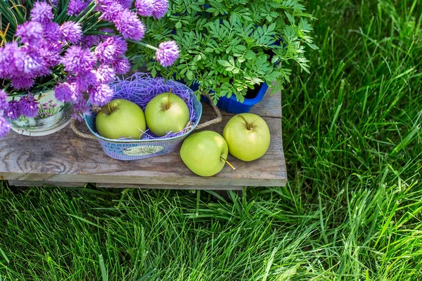 Яблоки в корзине и некоторые украшения сада на зеленом фоне травы и листвы. Ведро с фиолетовыми цветами на фоне зелени и трав . — стоковое фото