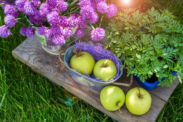 Apples in a basket and some garden decorations on green grass background and foliage. Garden pail with purple flowers with greens and herbs background. — Stock Photo, Image