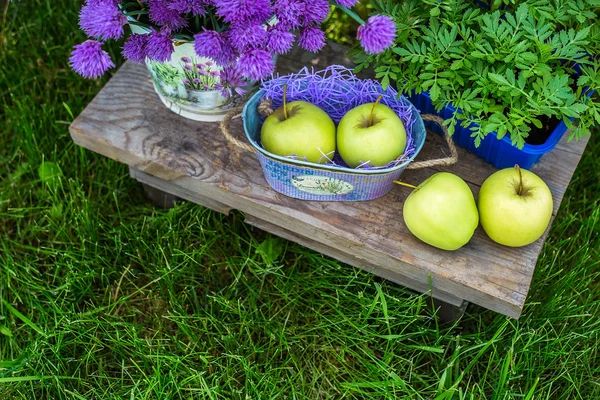 Manzanas en una canasta y algunas decoraciones de jardín sobre fondo de hierba verde y follaje. Cubo de jardín con flores de color púrpura con verdes y hierbas de fondo . — Foto de Stock