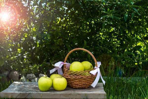 Apples in a basket and some garden decorations on green grass background and foliage. Garden pail with purple flowers with greens and herbs background. — Stock Photo, Image