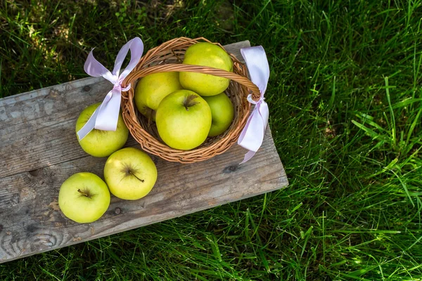 Apples in a basket and some garden decorations on green grass background and foliage. Garden pail with purple flowers with greens and herbs background. — Stock Photo, Image