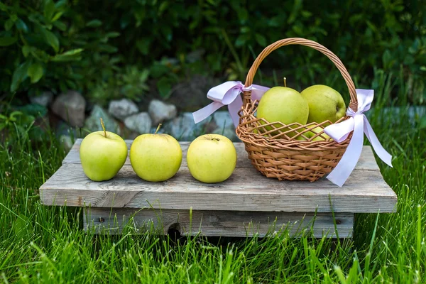 एक टोकरी में सेब और हरी घास पृष्ठभूमि और पत्ते पर कुछ बगीचे की सजावट। ग्रीन और जड़ी बूटी पृष्ठभूमि के साथ बैंगनी फूलों के साथ गार्डन पेल . — स्टॉक फ़ोटो, इमेज