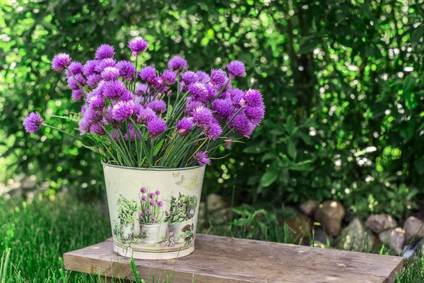 Cubo de jardín con flores de color púrpura con verdes y hierbas de fondo —  Fotos de Stock