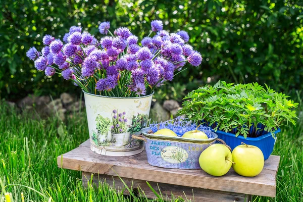 Яблоки в корзине и некоторые украшения сада на зеленом фоне травы и листвы. Ведро с фиолетовыми цветами на фоне зелени и трав . — стоковое фото