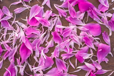 Ahşap arka plan üzerinde peonies çiçek yaprakları güzel dokusuna. Yumuşak yaprakları arka plan