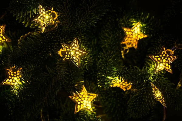 Led Garland Branches Nobilis Fir Glowing Dark Holiday Decor Home — Stock Photo, Image