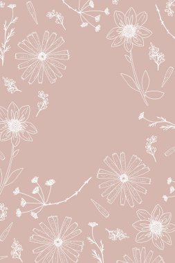 Işık kremi arka planında beyaz çiçekli ve otlu soyut çiçek arkaplanı ve illüstrasyonun ortasında bir kopya alanı var.