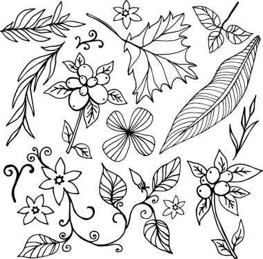 Bir dizi vektör bitki ve çiçek elementleri elle çizilmiş. Organik yapraklar, çiçekler, taç yaprakları, siyah dallar tasarım, kartpostallar, afişler, fiyat etiketleri, çıkartmalar için beyaz arka planda