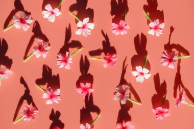 Yaz çiçeği dokusu deseni. Tasarım için pembe zemin üzerinde doğal zarif çiçekler