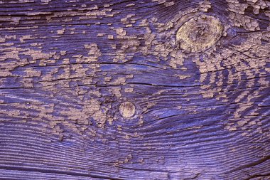 Gür mor ahşap desenli, bej çizikler ve eklentiler. Doğal bağ bozumu ahşap