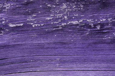 Mor grunge solmuş doku. Eski lavanta renkli ahşap, sürtünme ve kapsama. Doğal yaşlanmış bir çitin yakın plan görüntüsü