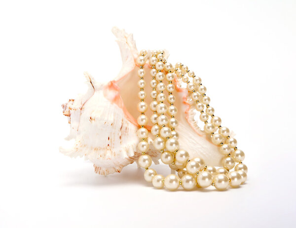 Beautiful shell with beads