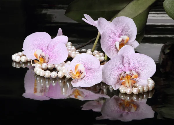 Motley orchid and pearl beads 3 — Stock Photo, Image