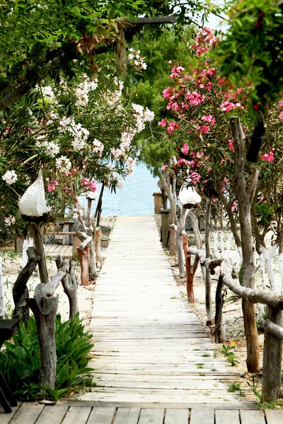 Gångväg till havet, bland oleander och lykta — Stockfoto