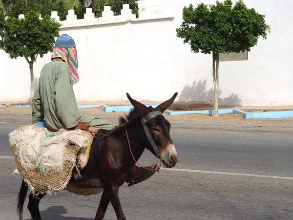 Anciano montado en un burro — Foto de Stock