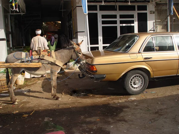 Two Types Transport Awaiting Owner Bazaar Egypt — Stock Photo, Image