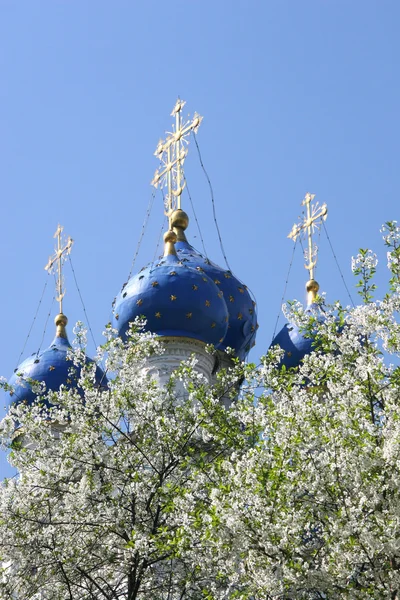 Kolomenskoye Meryem Kilisesi Kazan simgesi