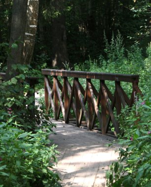 Ormanın içinde bir köprü