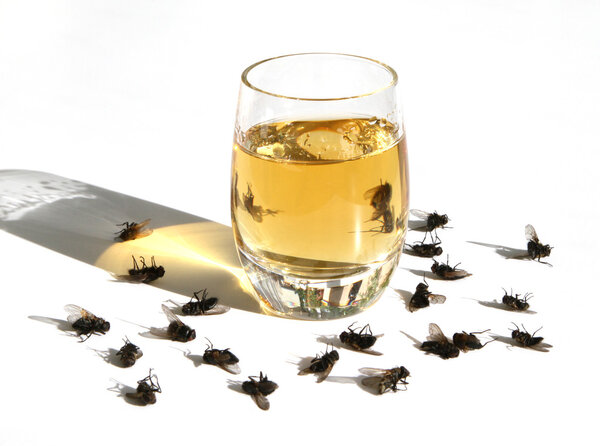 Вред от алкоголя
