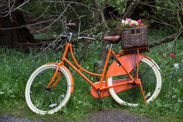 Fahrrad mit Blumentopf — Stockfoto