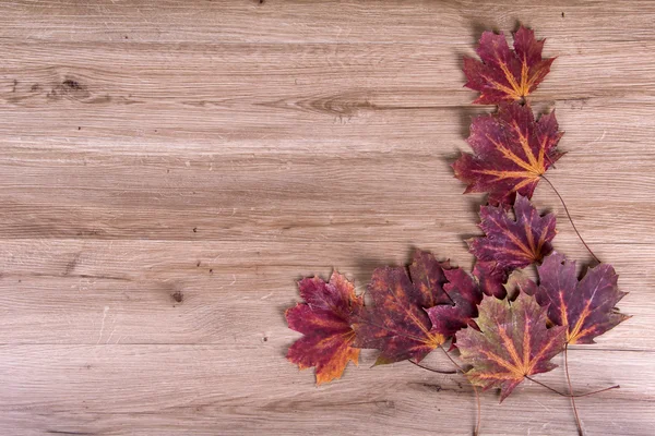 秋天树叶的框架 — 图库照片