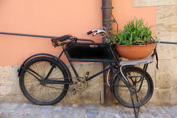 植木鉢と自転車 — ストック写真