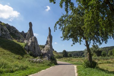  Eselsburger Tal (Almanya)