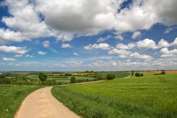 Våren landskap med väg — Stockfoto