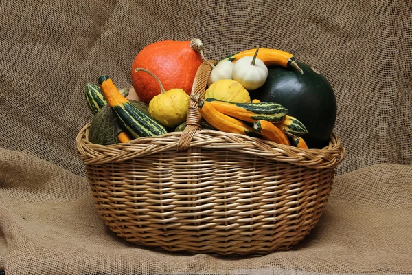 Различные овощи на столе — стоковое фото