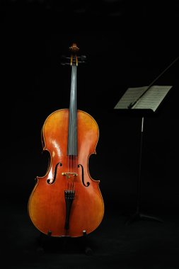 siyah zemin viyolonsel
