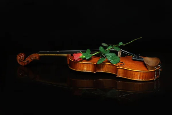 Geige auf schwarzem Hintergrund — Stockfoto