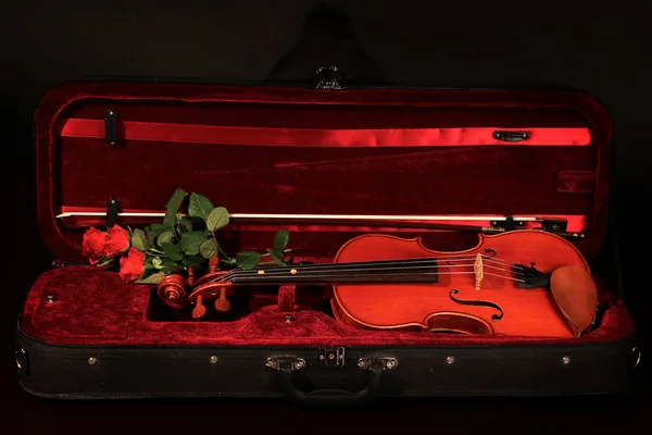 Violin på en svart bakgrund — Stockfoto
