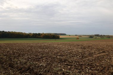 Sabahları çayır ve çayırlarla dolu sonbahar manzarası.