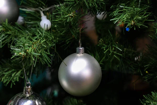 Silver balls hang on the Christmas tree.