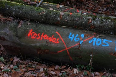 Kesilen ağaçlar yakacak odun için ücretsizdir. Almanca metin: Boş.