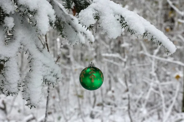 Grüne Weihnachtskugel Hängt Wald Der Tanne — Stockfoto