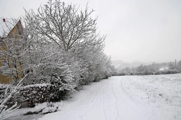Paysage rural hivernal avec neige fraîchement tombée — Photo