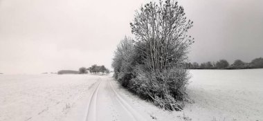 Yeni yağmış karla kışın kırsal alan
