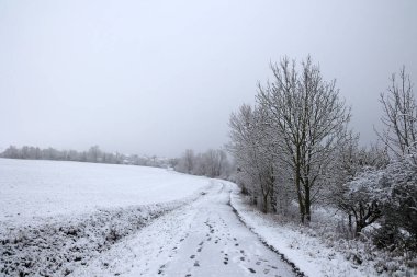 Beyaz karla kaplı ağaçlarla kaplı kış manzarası.