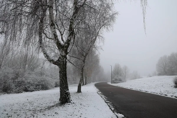 Paysage Hivernal Avec Des Arbres Couverts Neige Blanche — Photo