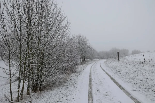 Winter Landscape Trees Covered White Snow — Stock Photo, Image