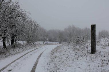 Beyaz karla kaplı ağaçlarla kaplı kış manzarası.