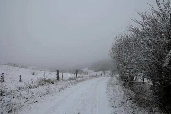 Winter Landscape Trees Covered White Snow — Stock Photo, Image