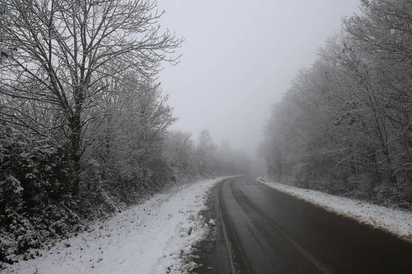 Perigoso Trecho Estrada Uma Manhã Nebulosa Inverno — Fotografia de Stock