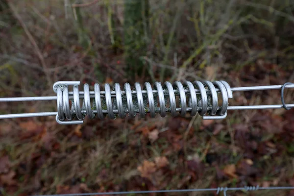 Le printemps. Ressort métallique sur une clôture électrique. — Photo